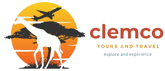 City tours