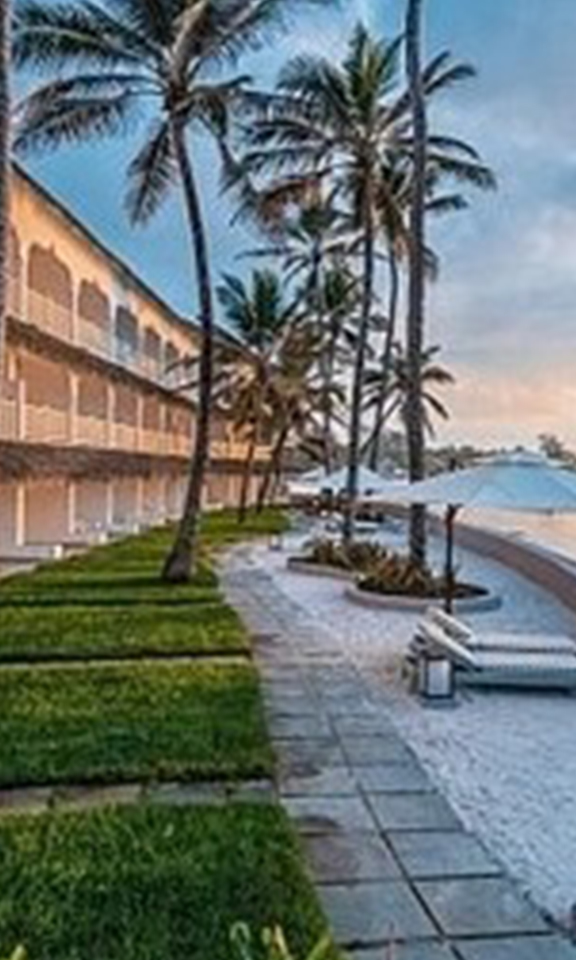 Hotel Bookings